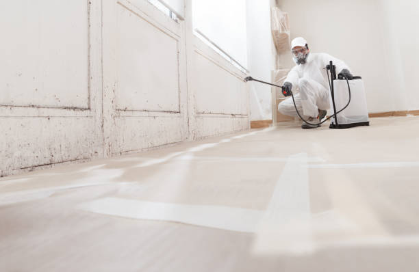 24/7 Emergency Mold Remediation experts in Gasburg, VA